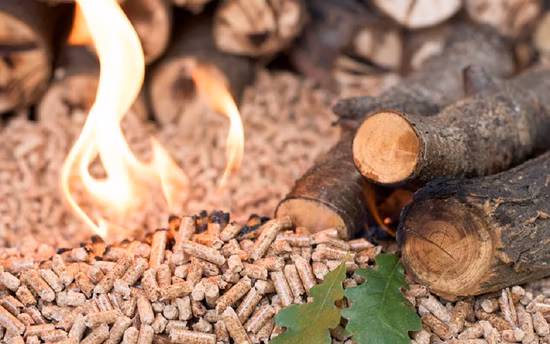 Biocombustible Energía Arroz Cáscara Aserrín Bambú Polvo Ramas de árbol Granuladora Briqueta Máquina de prensa / Anillo Troquel plano 1t / H 2t Agricultura Biomasa Máquina de pellets de madera