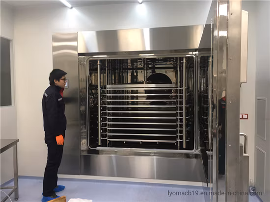 Certificación CE Nueva tecnología Alta calidad Verduras Fruta Alimentos Secador por congelación al vacío Liofilizador Perro Tratar Comida para gatos Secador por congelación Máquina de secado de café